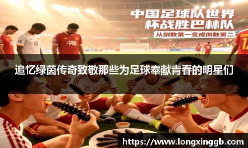 jn江南·体育登录入口